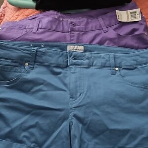 Celebrity pink shorts